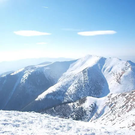 Apartment Janosikove Diery *